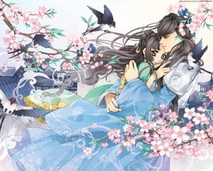 蘑菇tv网页版入口